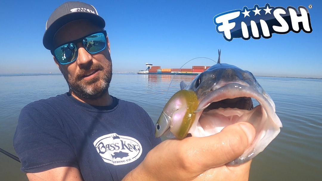 We have a selection of Fiiish Products in our store for the Westerschelde sea bass!