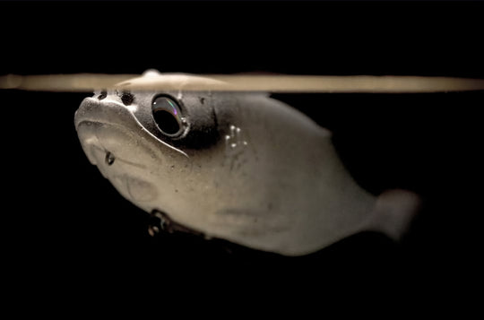 HISPANO LURES Polaris 147 Floating Shad - Water Wolves Fishing Store