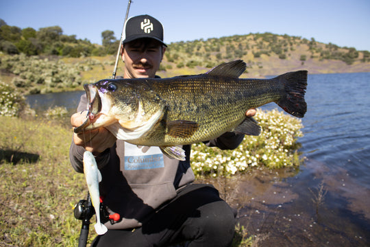 HISPANO LURES Polaris 147 Floating Shad - Water Wolves Fishing Store