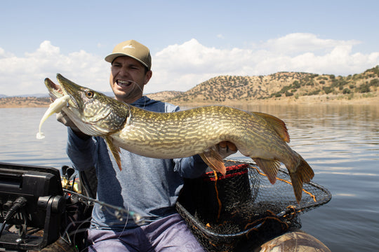 HISPANO LURES Polaris 147 Floating Shad - Water Wolves Fishing Store