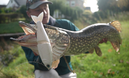 SWIMBAIT REPUBLIC Glideway 176 - Water Wolves Fishing Store