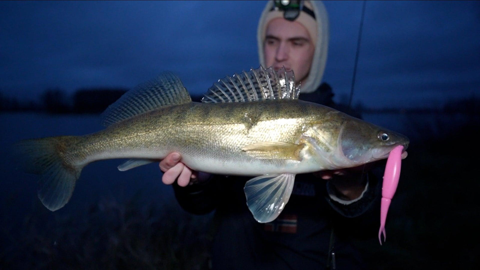 Snoekbaars vanaf de kant