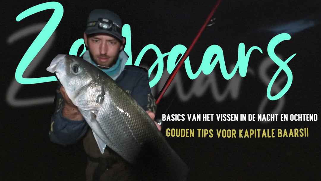 Onze nieuwste ZEEBAARSVIDEO is nu te bekijken!