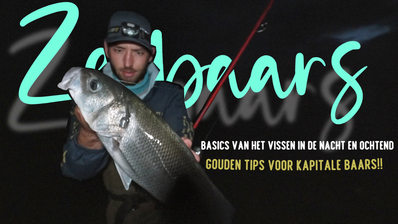 Onze nieuwste ZEEBAARSVIDEO is nu te bekijken!