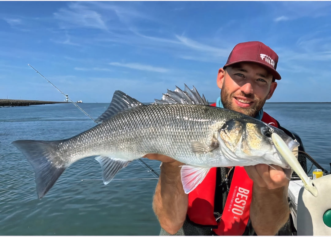 The best lures for sea bass