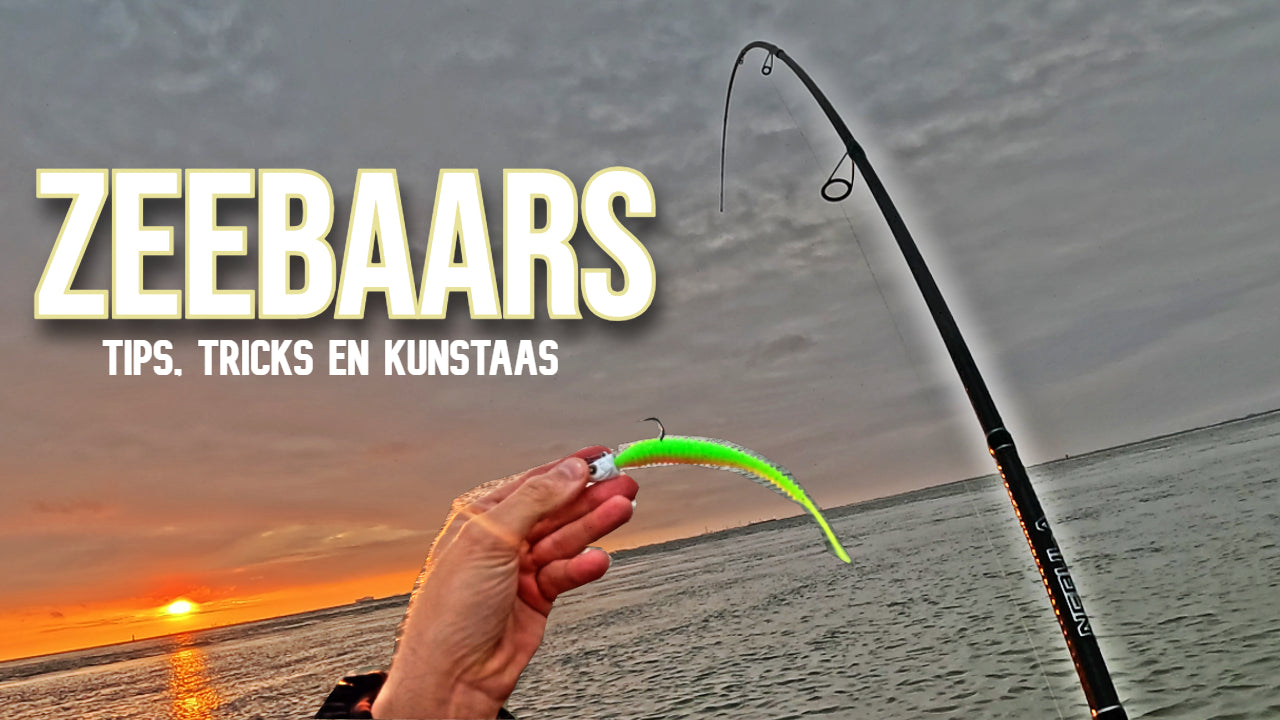 PXS KAGASHI WORM 5,5 INCH VOOR ZEEBAARS!