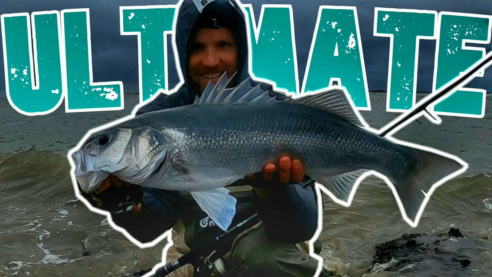 Zeebaars vissen - Ultimate Fishing - Water Wolves Fishing Store