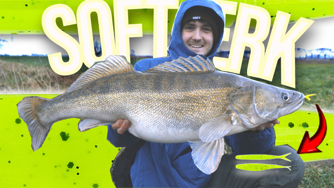ONZE NIEUWSTE YOUTUBE VIDEO!