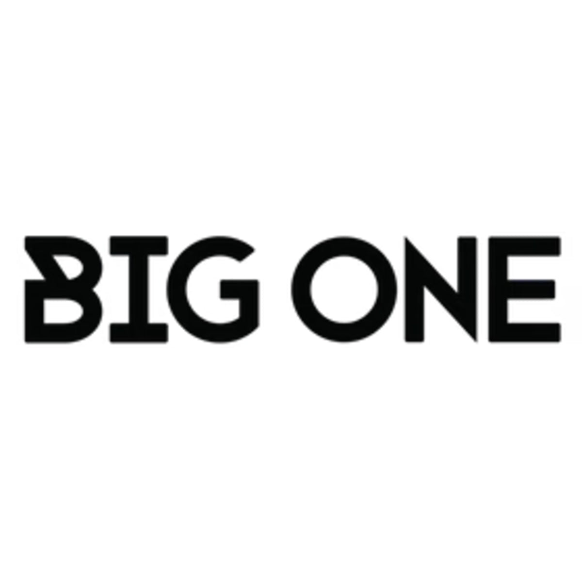 BIG ONE OUTDOOR