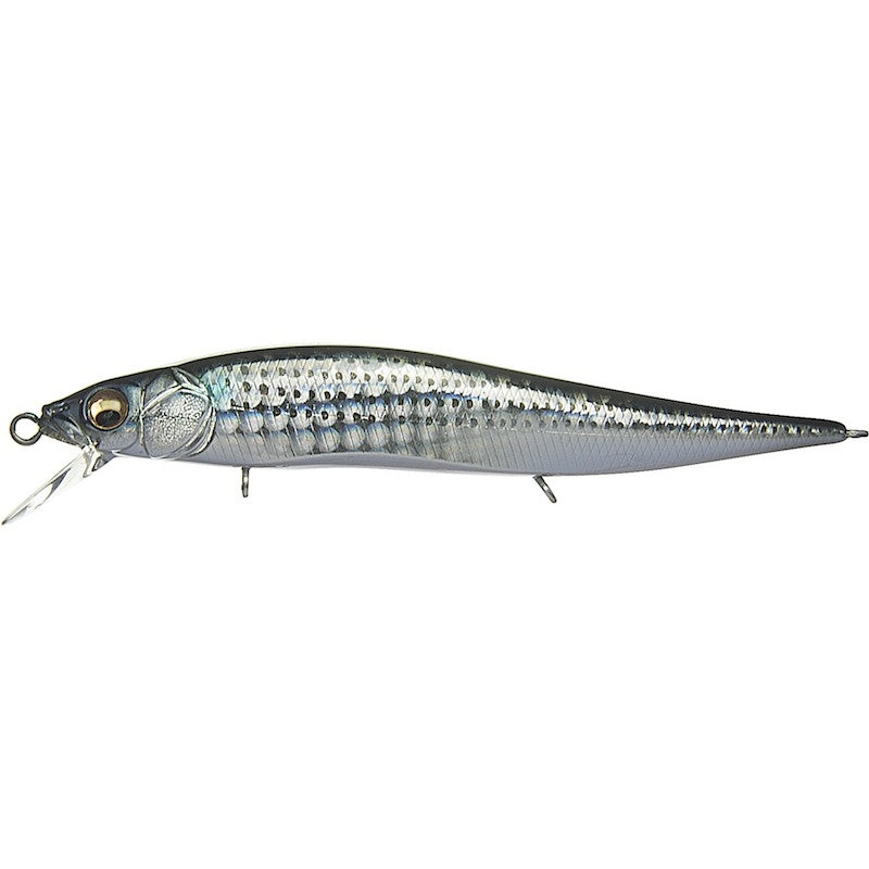 MEGABASS Vision Oneten Jr. SW - Water Wolves Fishing Store